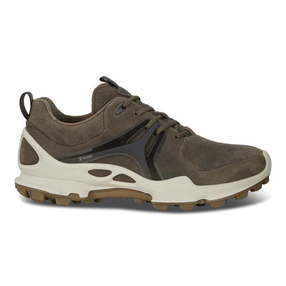Womens Hiking Shoes - ECCO Biom C-Trail Low - Brown - 0975EIDSG